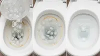 Cara Bersihkan Kloset Membandel dengan Es Batu, Solusi Mudah untuk Kamar Mandi Bersih