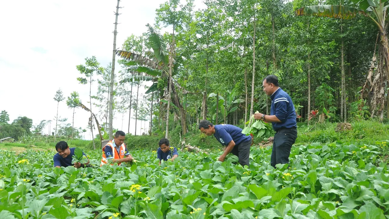Harmonisasi Alam di Taman Kehati Sukabumi