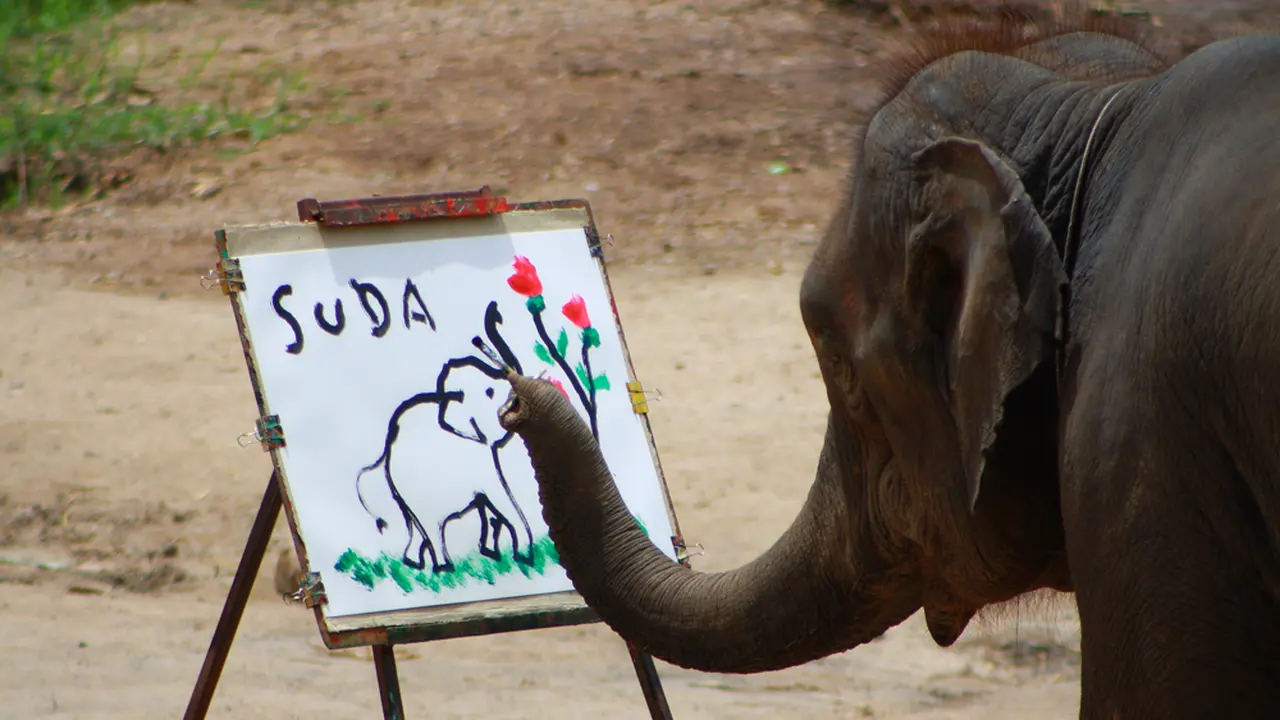 KEREN! Gajah Melukis Layaknya Profesional!
