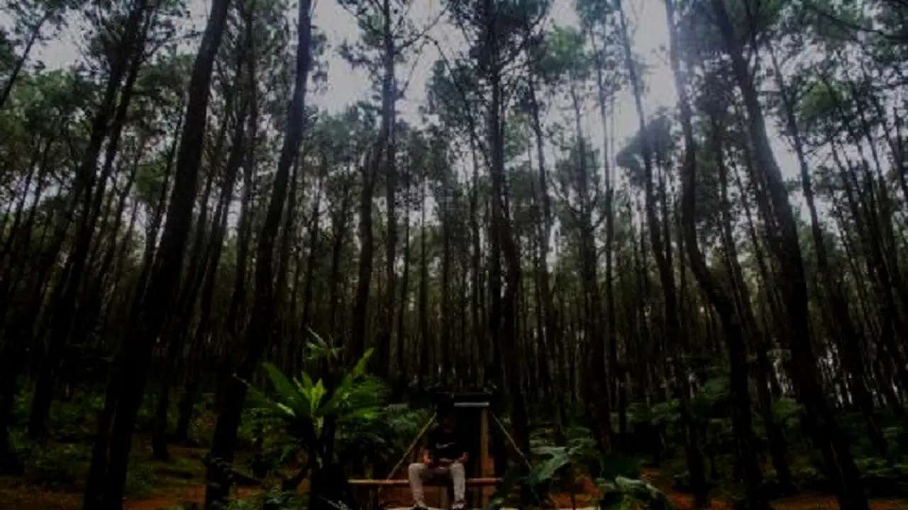 Bukit Langlang