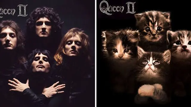 Gaya Kucing Saat Parodikan Cover Album Ini Bikin Gemes