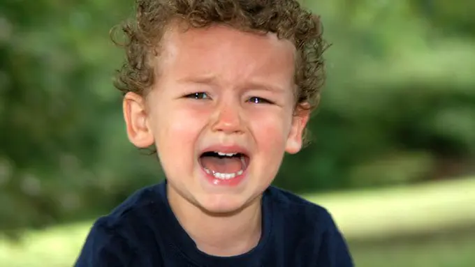 foto: copyright thinkstockphotos.com