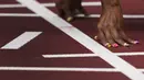 Javianne Oliver, dari Amerika Serikat, bersiap untuk memulai pertandingan lari 100 meter putri pada Olimpiade Musim Panas 2020 di Tokyo, Jepang, Jumat (30/7/2021). Sprinter AS memberi hiasan pada kukunya saat bertanding.  (AP Photo/Matthias Schrader)