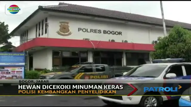 Polisi lakukan penyelidikan dan pengembangan kasus yang dilaporkan  pihak Taman Safari Indonesia, Bogor.
