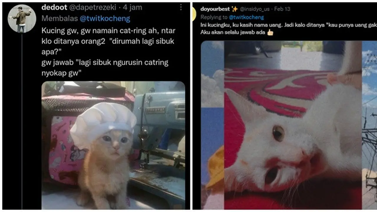 6 Nama Panggilan Kucing Ini Tak Biasa, Kocak Banget