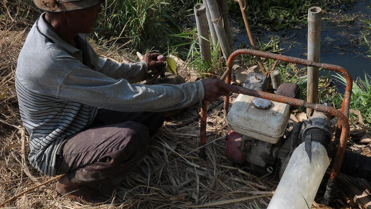 Fenomena El Nino yang membuat musim kemarau menjadi lebih kering menyebabkan areal persawahan dilanda kekeringan. Tak terkecuali sawah yang digarap Nasim, seorang petani di Babelan, Bekasi, Jawa Barat, Selasa (5/9/2023).