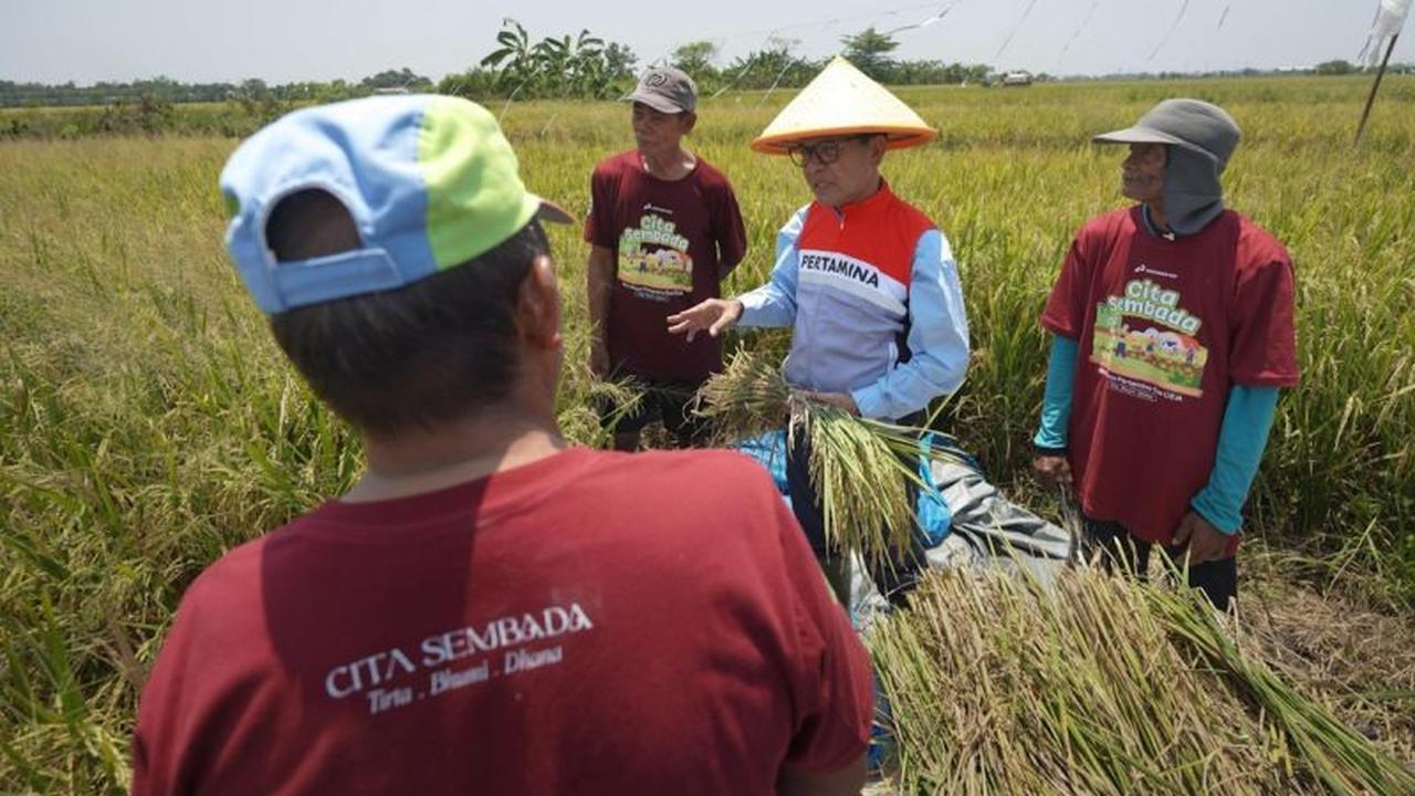 Fakta Unik: Produksi Pertanian Melesat 10 Kali Lipat Berkat Cita Sembada Pertagas, Dukung Swasembada Pangan Nasional!