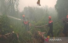 Kebakaran Hutan Mengganas, Dua Kompleks Perumahan di Banjarbaru Terancam