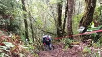 Legenda Urban: Misteri Batu Pamali di Puncak Gunung Latimojong, Sulawesi Selatan