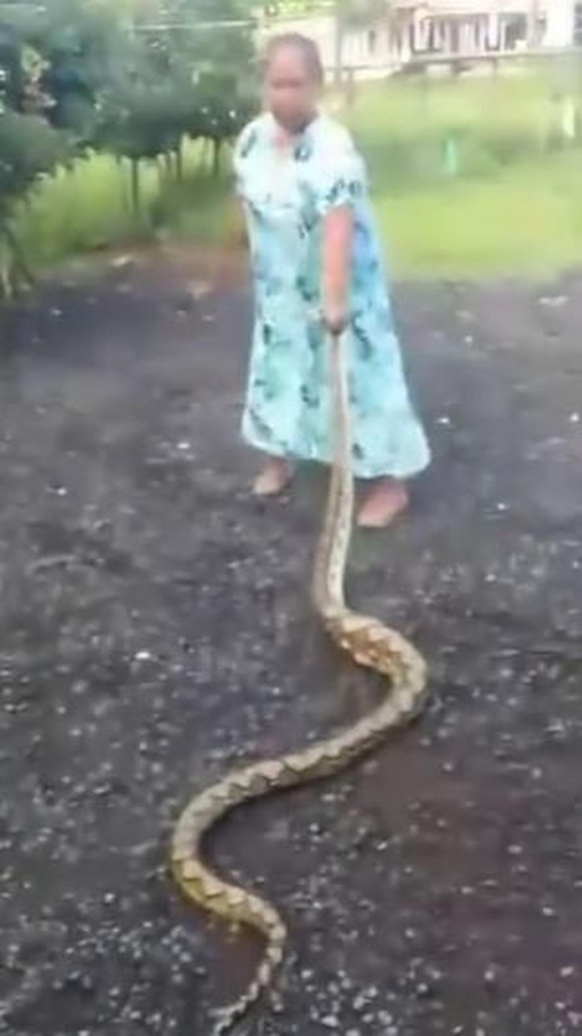 "Iya ini ular kemarin muncul lagi ya kau," kata emak-emak dalam video.