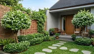 6 Inspirasi Teras Rumah Mungil dengan Pohon Melati Jasmine, Beri Kesan Adem dan Elegan
