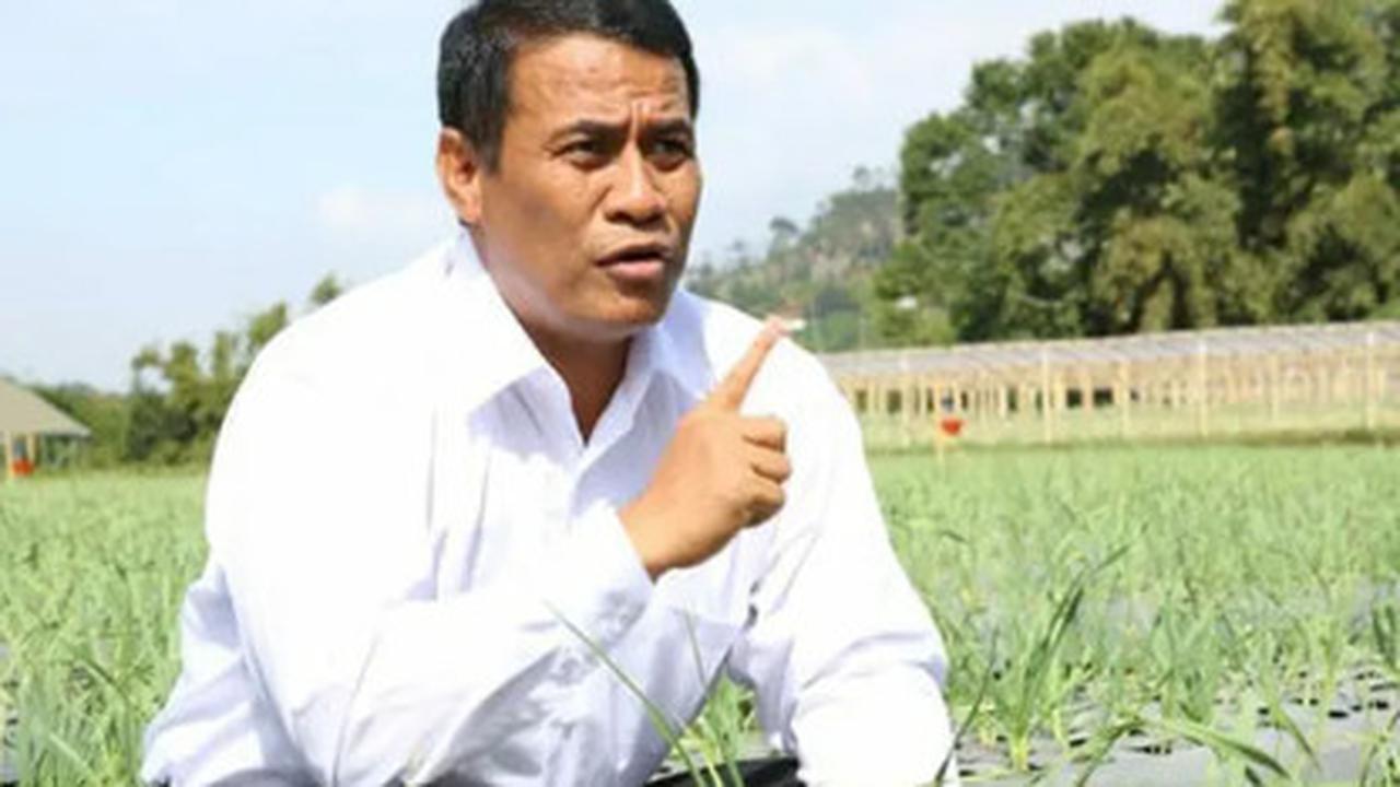 Dicari-cari Presiden Ternyata Selalu Berada di Sawah Kalbar Sampai Merauke, Ini Sosok Pejabatnya