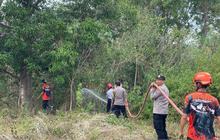 BNPB Catat Longsor, Banjir, Abrasi, hingga Karhutla Terjadi di Berbagai Wilayah: Kesiapsiagaan Bencana Alam Indonesia Mendesak