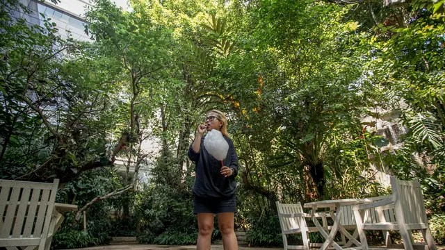 The Papandayan Hotel