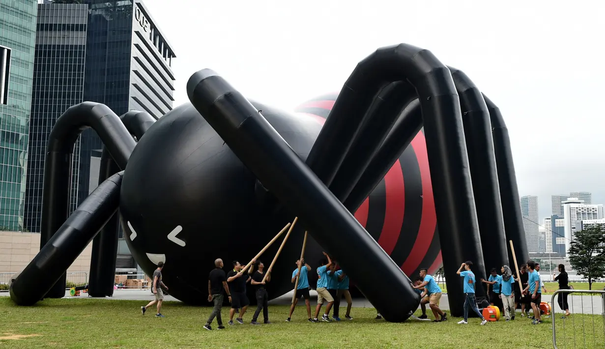 Pekerja sedang mendirikan balon laba-laba raksasa di kawasan Marina Bay, Singapura, Senin (6/2). Balon laba-laba raksasa tersebut dibuat oleh seniman Singapura Jackson Tan. (AFP PHOTO / ROSLAN RAHMAN)