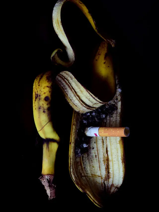 Metafora Visual Rokok
