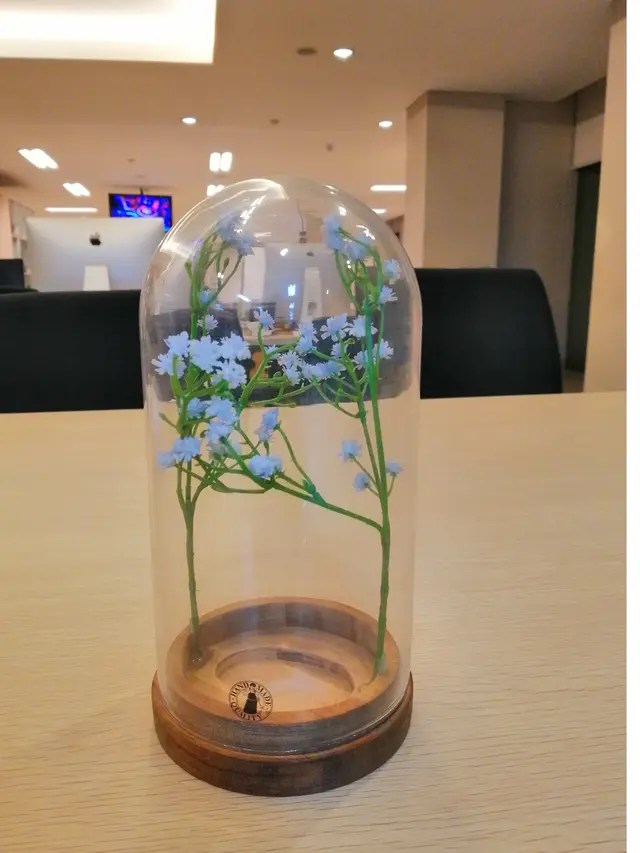Hasil foto Huawei Nova 3i