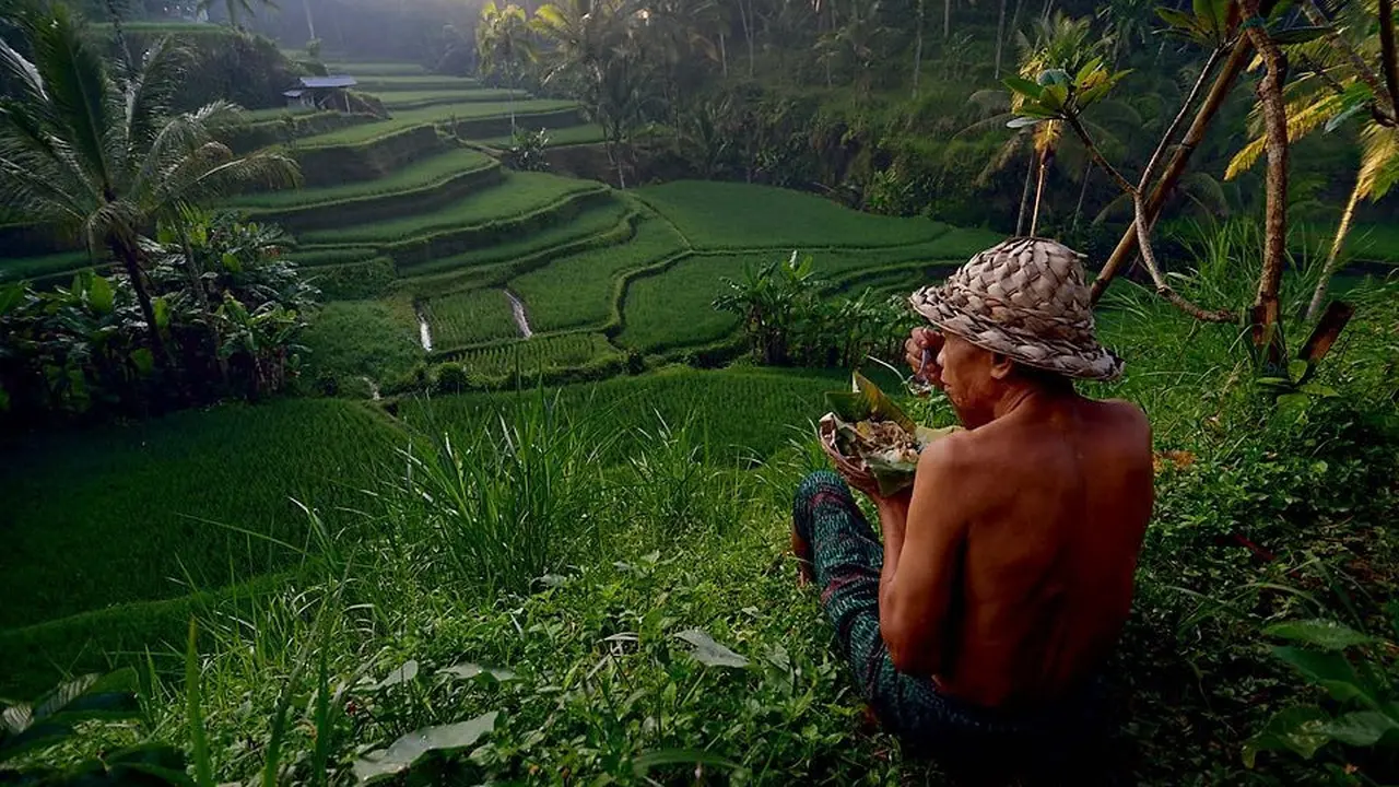 Terasering di Dusun Ceking, Kecamatan Tegalalang, Gianyar