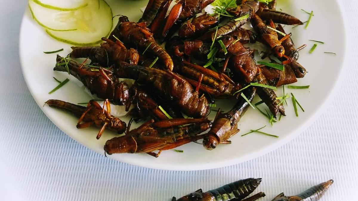 15 Kuliner Ekstrem Khas Indonesia yang Bikin Penasaran, Menggali Sensasi Rasa