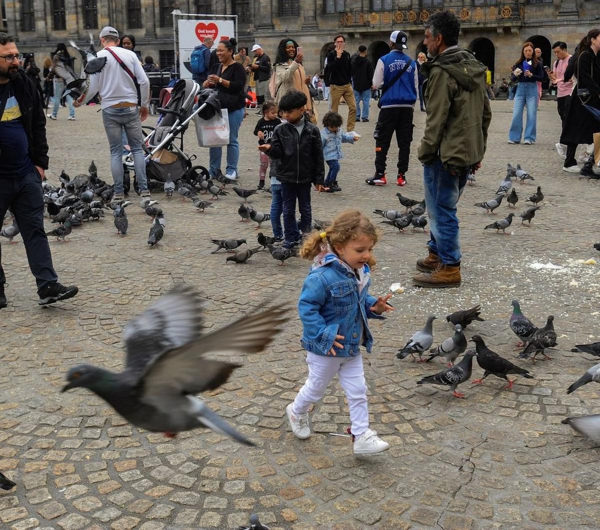 Salah satu landmark yang paling terkenal di Dam Square adalah Royal Palace of Amsterdam. Dibangun pada abad ke-17, istana ini dulunya merupakan markas dari penguasa Belanda. Sekarang, istana ini digunakan untuk acara-acara kenegaraan dan pameran seni yang