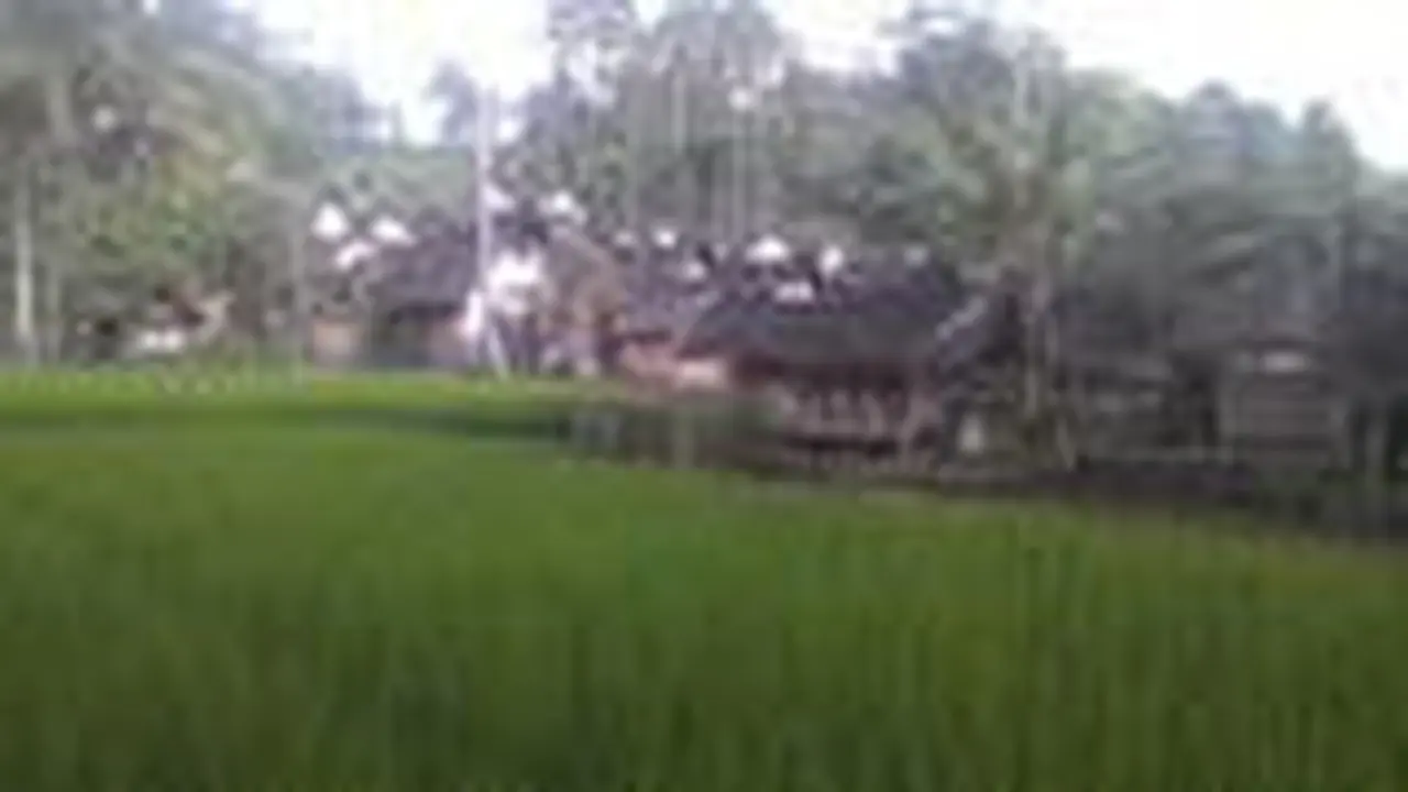 Deretan rumah panggung dengan atap injuk menjadi salah satu keunikan di Kampung Naga, Neglasari, Tasikmalaya, Jawa Barat