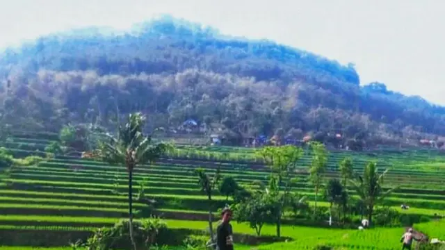 Pemandangan sekitar kaki Gunung Selasih. (Dok: IG)