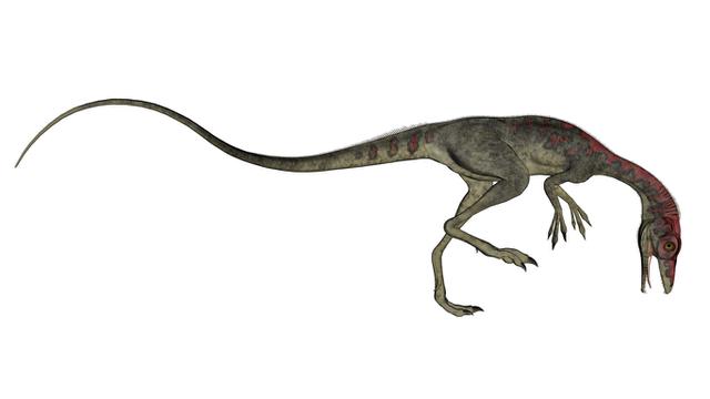 9000 Gambar Dinosaurus Pensil Paling Baru Infobaru