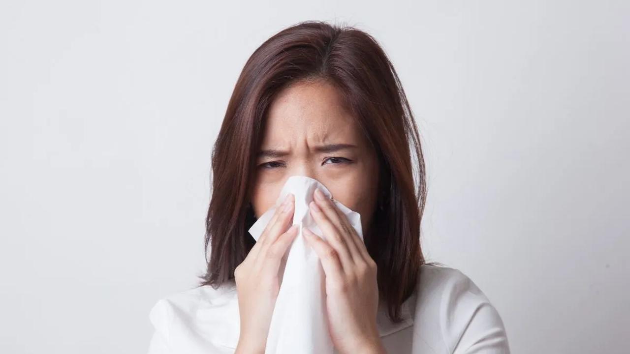 Pengobatan Infeksi Shigella