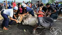 Pengungsi Rohingya yang tinggal di Malaysia mengontrol seekor sapi sebelum menyembelihnya saat Idul Adha di Kuala Lumpur, Malaysia, 10 Juli 2022. Umat muslim seluruh dunia merayakan Idul Adha atau Hari Raya Kurban untuk memperingati kesediaan Nabi Ibrahim mengorbankan putranya. (Mohd RASFAN/AFP)
