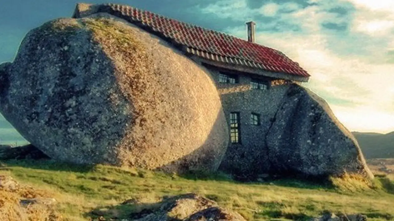 (c) boredpanda.com