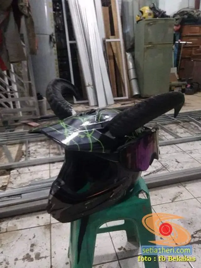 6 Kambing Pakai Helm Ini Curi Perhatian, Siap Diantar Ojek Online