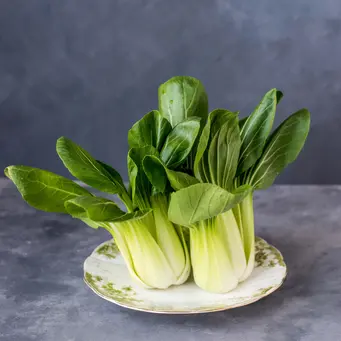 Photo by Monika Grabkowska on Unsplash