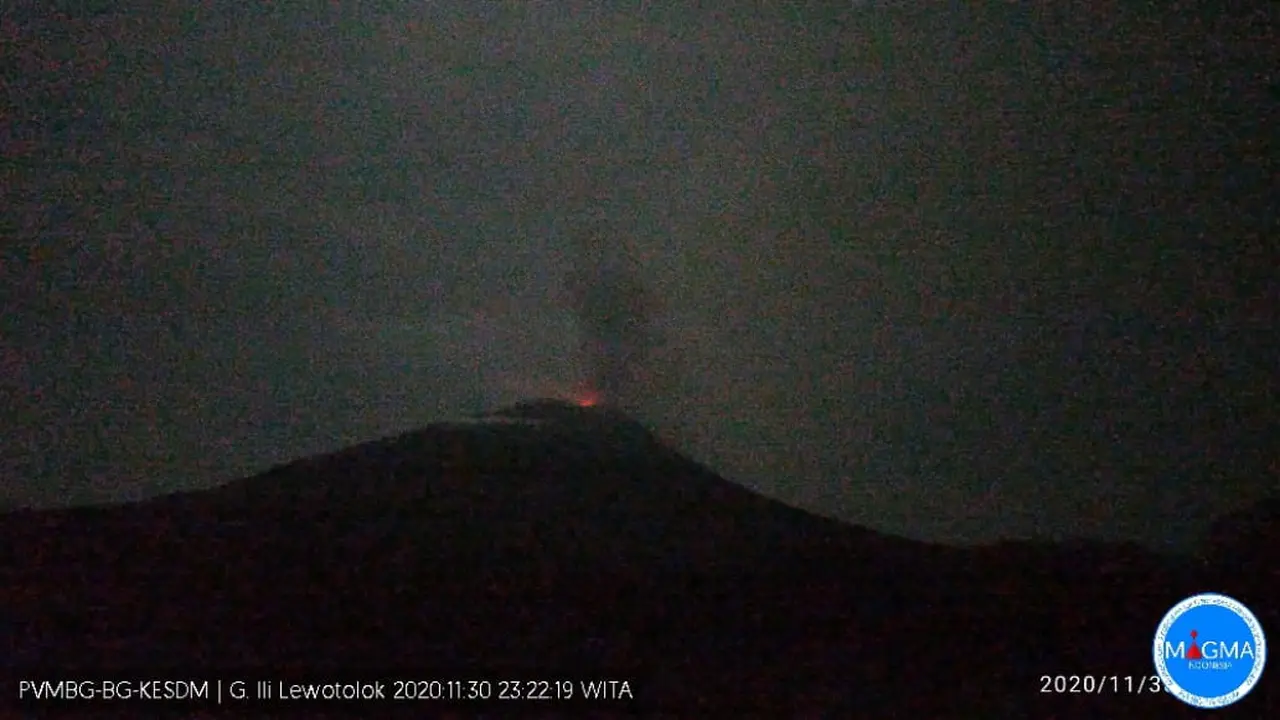 Gunungapi Ili Lewotolok kembali erupsi dan mengeluarkan kolom abu setinggi kurang lebih 700 meter dari atas puncak, atau 2.123 meter di atas permukaan laut pada Senin, 30 November 2020 pukul 23.20 WITA.