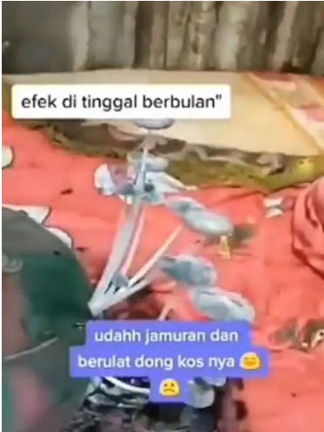 6 Potret Kamar Kos Berjamur karena Ditinggal Mudik Ini Bikin Miris