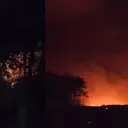 Kebakaran Melanda Taman Nasional Way Kambas, Petugas Berjibaku Padamkan Api
