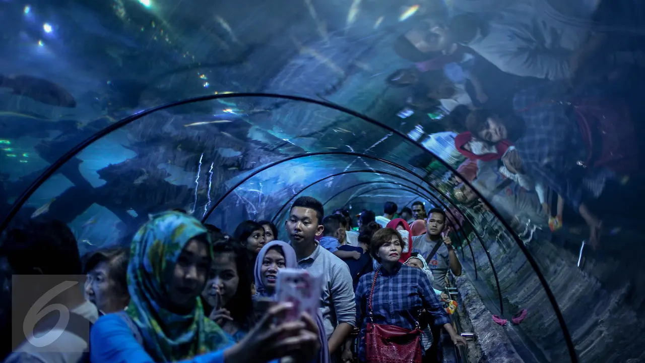 20161225-Libur-Natal-Jakarta-Sea-World-FF