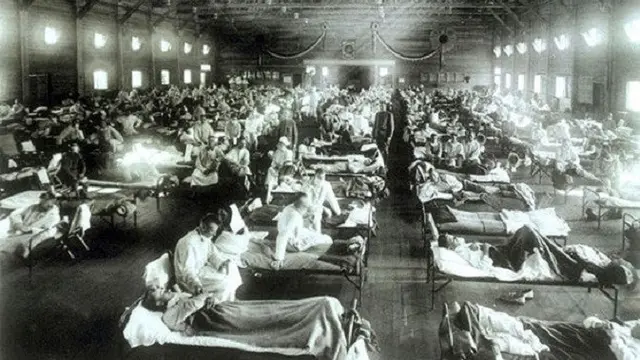 Flu