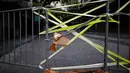 Barikade improvisasi yang terbuat dari tali dan selotip yang dipasang untuk membatasi pergerakan warga di Hanoi, Vietnam pada 30 Agustus 2021. Tiang bambu, peti bir, tangga dan kursi rusak: benda sehari-hari membentuk barikade sementara di jalan-jalan saat lockdown Covid-19. (Manan VATSYAYANA/AFP)