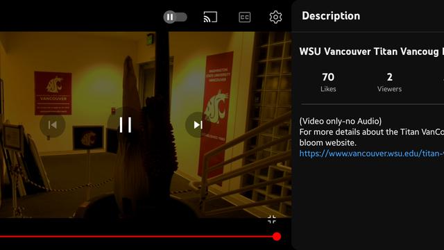 Tangkapan layar siaran langsung pada kanal YouTube Washington State University.