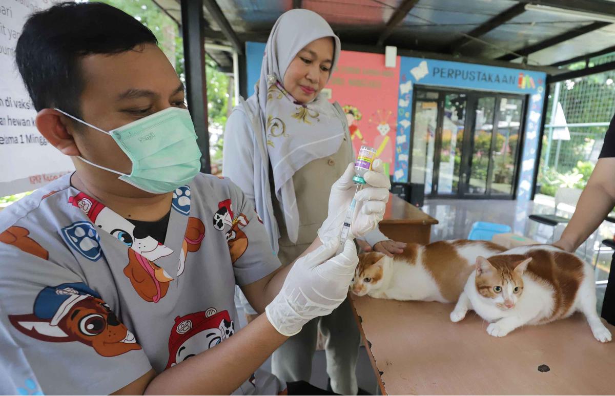FOTO: Cegah Rabies, Pemkot Jaksel Gelar Vaksinasi Gratis untuk Hewan Peliharaan