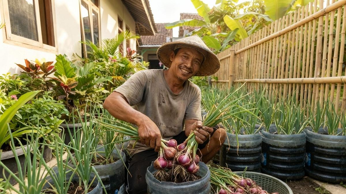 Cara Menanam Bawang Merah di Galon Bekas untuk Pemula, Bisa Panen Lebat