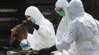 Virus Flu Burung (Foto: Fox News)