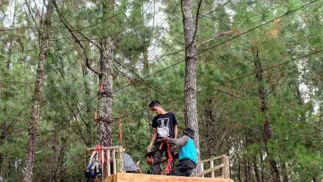 [reservasi]hutan pinus songgon