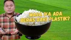 Thumbnail cek fakta beras plastik
