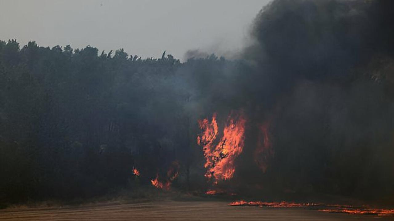Dua Negara Ini Tolak Kirim Pesawat Pemadam Api ke Israel