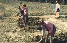 Rekaman Video Suasana Indonesia Tahun 1920-an, Serasa Kembali ke Masa Lalu dengan Mesin Waktu