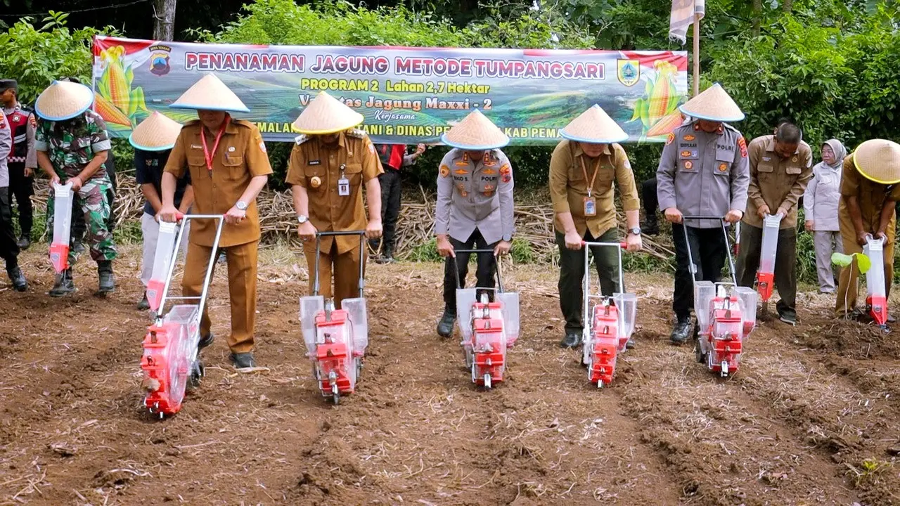Penanaman jagung di lahan Perhutani. (Foto: Liputan6.com/Humas Polres Pemalang)