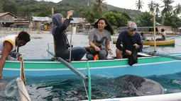 Wisatawan memberi makan Hiu Paus (Shark Whale) di Desa Botu Barani, Kabupaten Bone Bolango, Gorontalo, Senin (4/7). Kehadiran Hiu Paus menjadi sorotan wisatawan lokal dan mancanegara. (Liputan6.com/herman Zakharia)