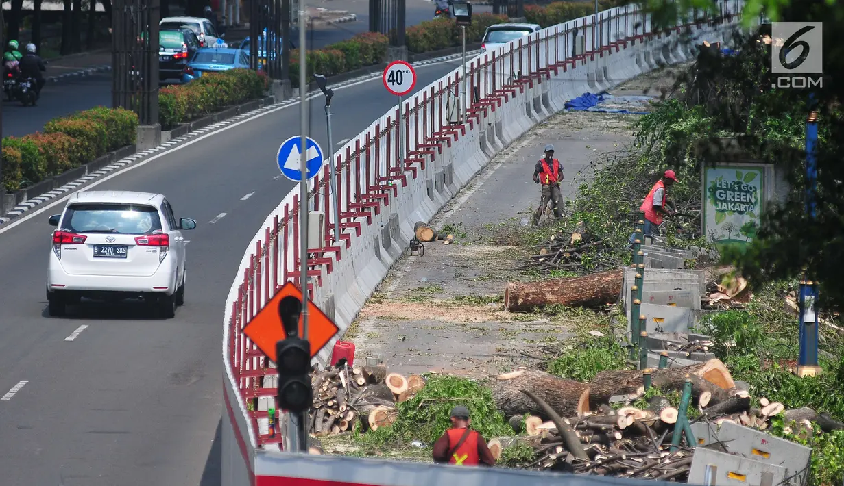 Pekerja menebang pohon untuk menyelesaikan proyek kereta api ringan atau Light Rail Transit (LRT) di kawasan Kuningan, Jakarta, Rabu (26/7). Penebangan dilakukan untuk pembangunan proyek LRT Cawang-Dukuh Atas sepanjang 10,5 km. (Liputan6.com/Helmi Afandi)