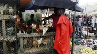 Seorang pria membeli ayam di pasar Kaporo di Conakry, Guinea, Senin (13/9/2021). Pasukan elit militer Guinea melakukan kudeta dan menangkap Presiden Alpha Conde pada Minggu, 5 September lalu. (AP Photo/ Sunday Alamba)